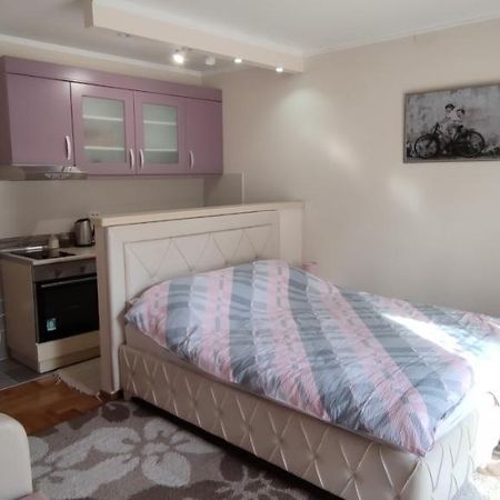 Alex 2 Apartman Vrnjačka Banja 외부 사진