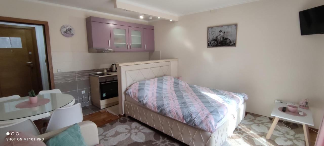 Alex 2 Apartman Vrnjačka Banja 외부 사진