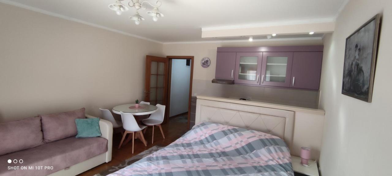 Alex 2 Apartman Vrnjačka Banja 외부 사진