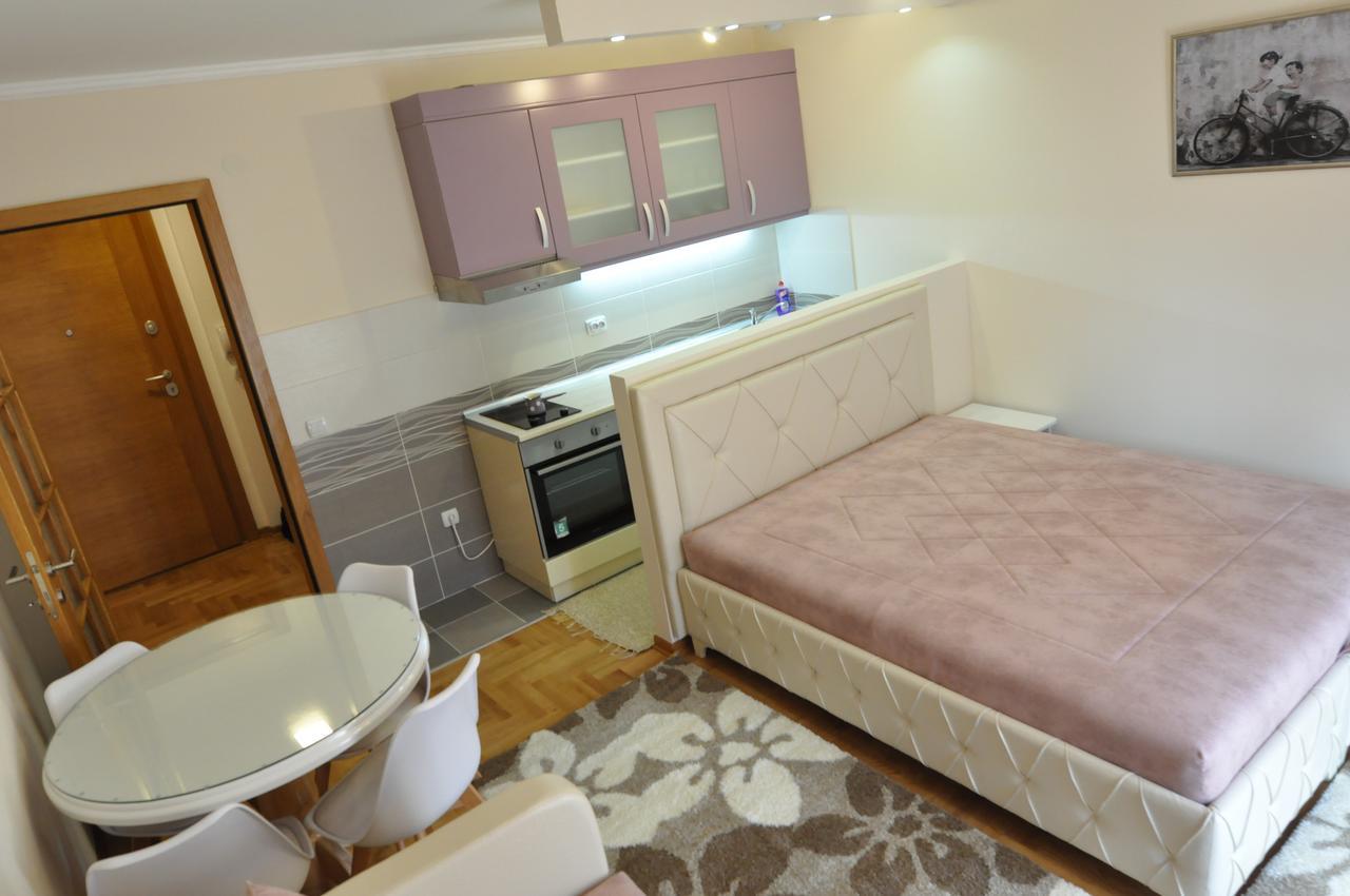 Alex 2 Apartman Vrnjačka Banja 객실 사진