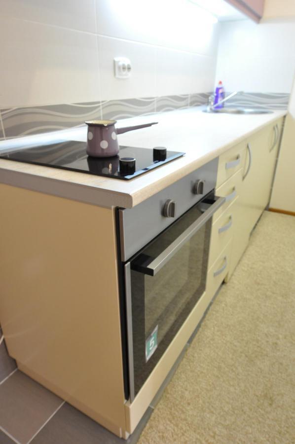 Alex 2 Apartman Vrnjačka Banja 객실 사진