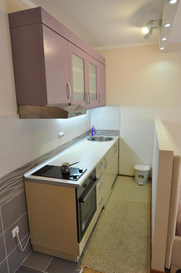 Alex 2 Apartman Vrnjačka Banja 객실 사진